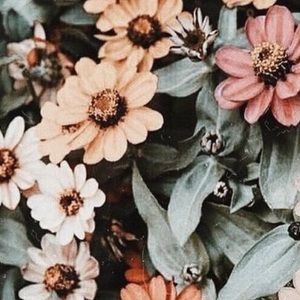 I will accept or counter any offer or bundle